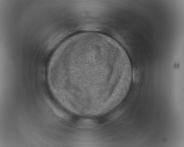 X0000111880205200908201305