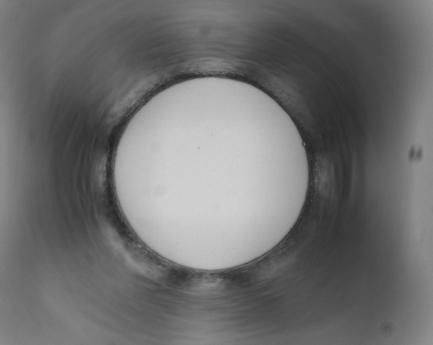 X0000111880206200908201305