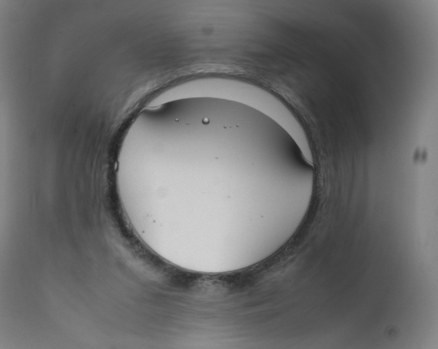 X0000111880207200908201305
