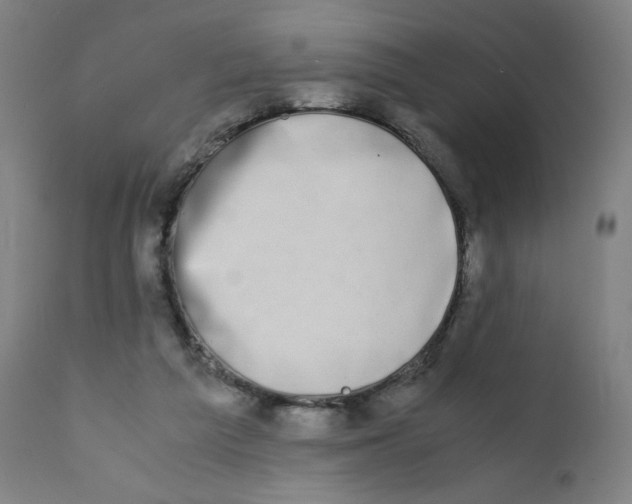 X0000111880209200908201305