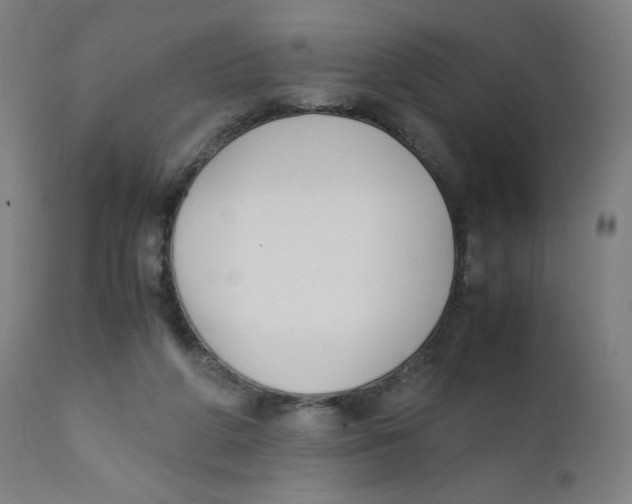 X0000111880210200908201305