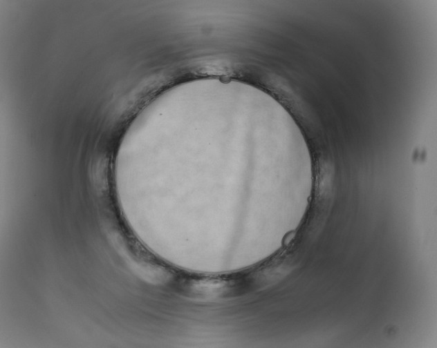 X0000111880213200908201305