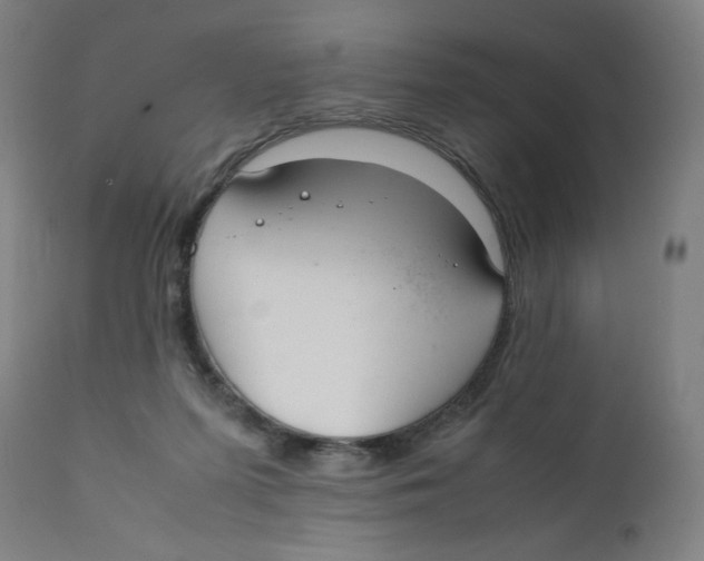 X0000111880215200908201305