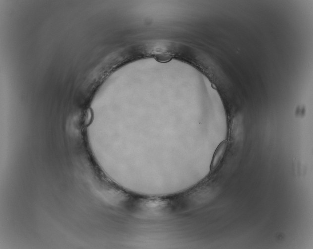X0000111880217200908201305