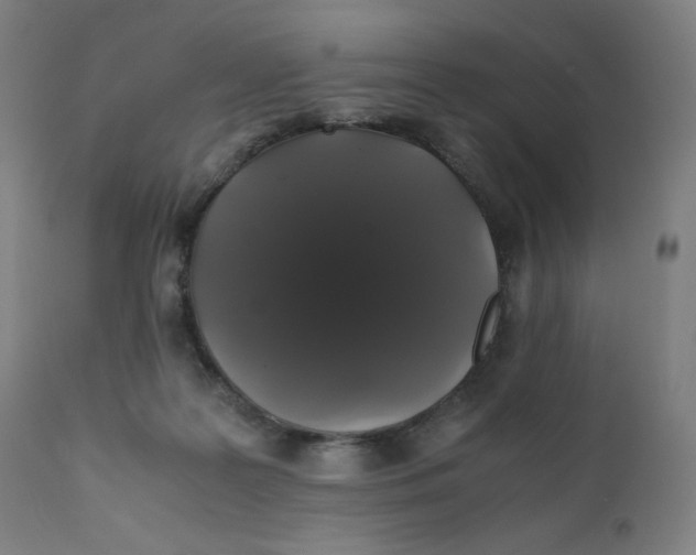 X0000111880219200908201305