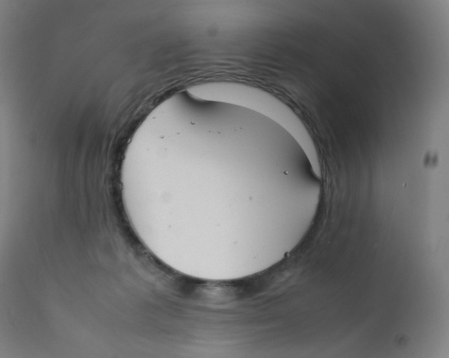 X0000111880221200908201305