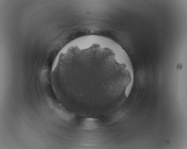 X0000111880222200908201305
