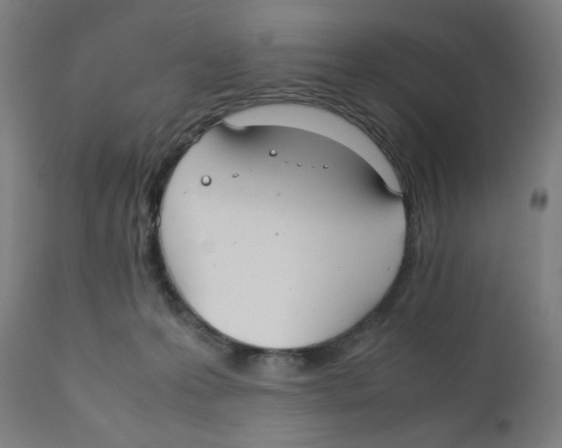 X0000111880223200908201305