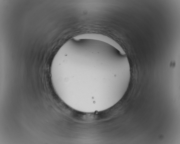 X0000111880225200908201305