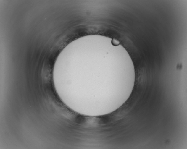 X0000111880226200908201305