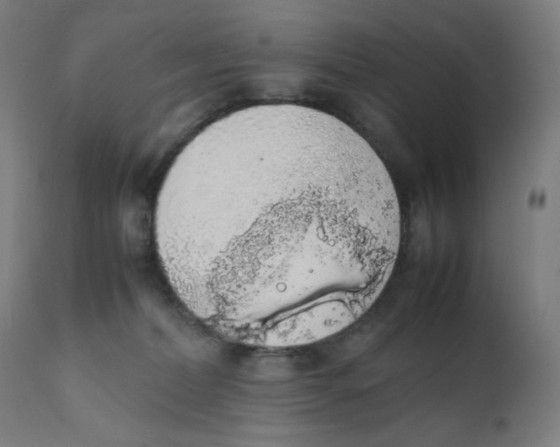 X0000111880228200908201305