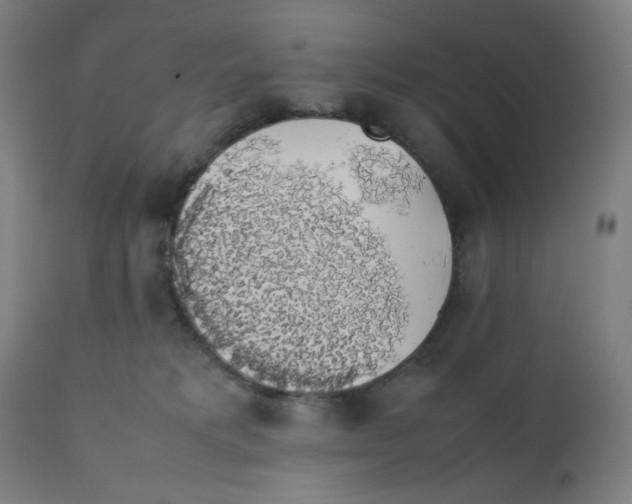 X0000111880229200908201305