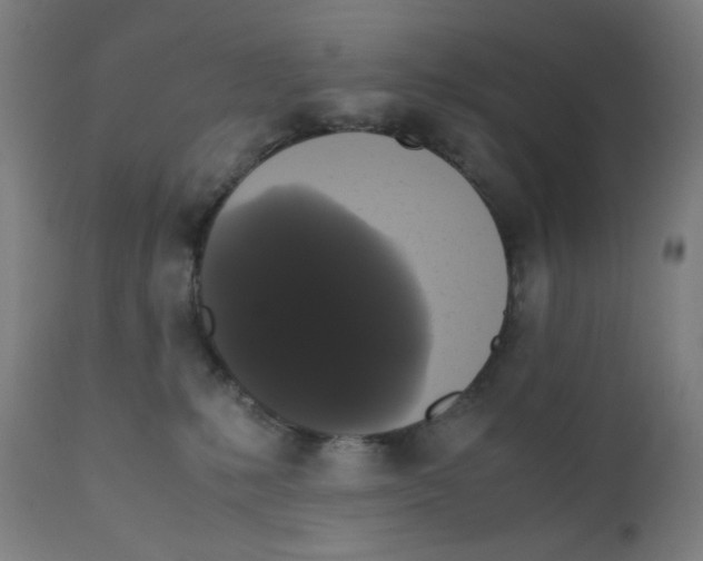 X0000111880231200908201305