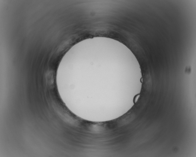 X0000111880232200908201305