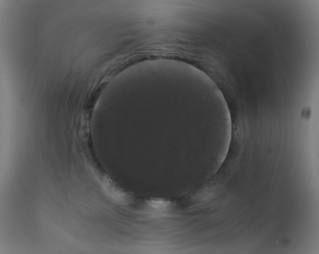 X0000111880233200908201305