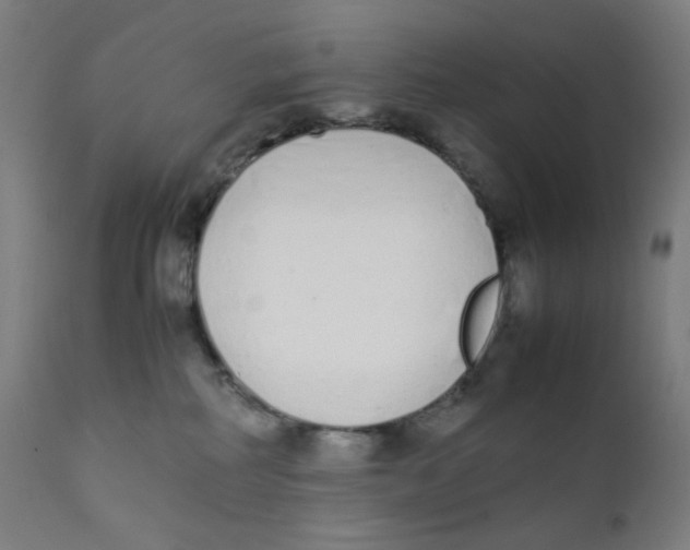 X0000111880234200908201305