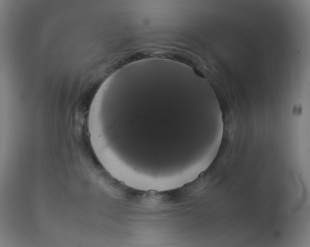 X0000111880235200908201305