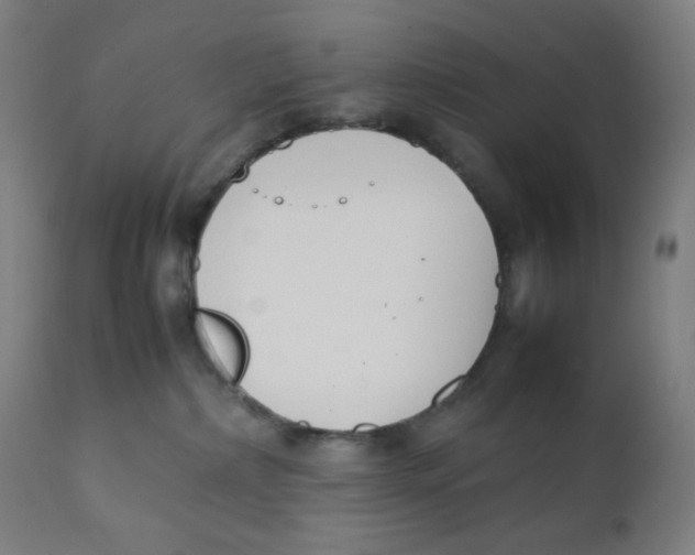 X0000111880236200908201305