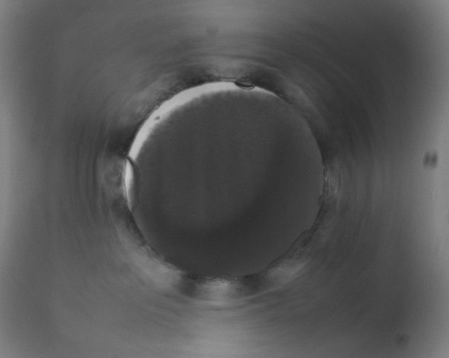 X0000111880237200908201305