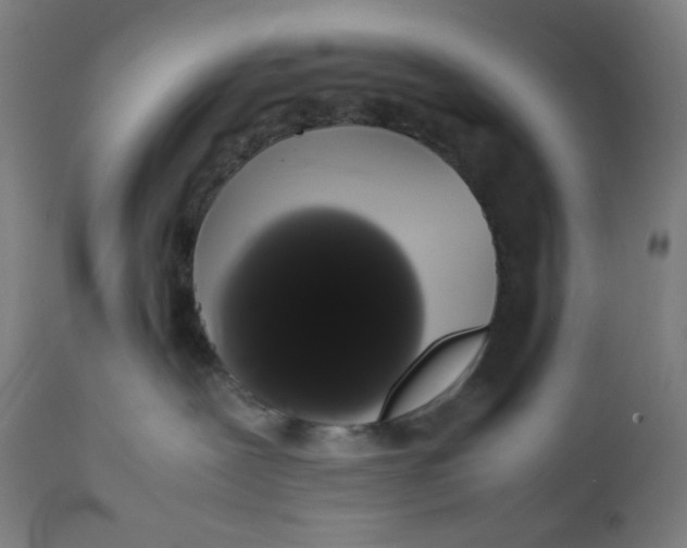 X0000111880239200908201305