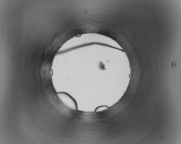 X0000111880240200908201305