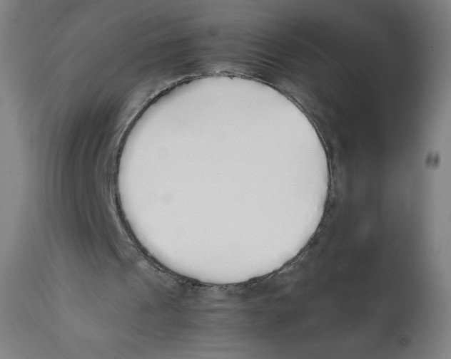 X0000111880241200908201304
