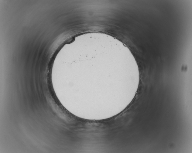 X0000111880242200908201304