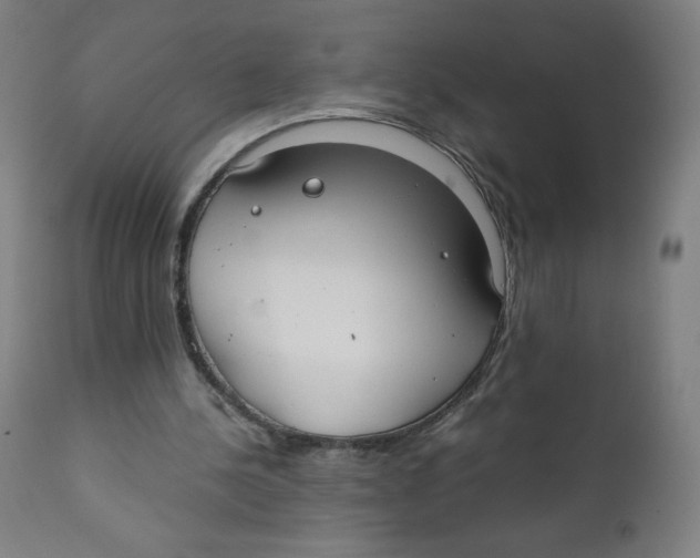 X0000111880244200908201304