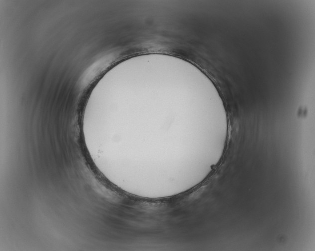 X0000111880245200908201304