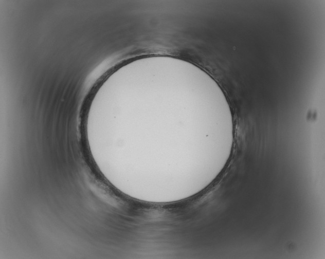 X0000111880246200908201304