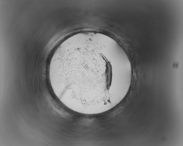 X0000111880247200908201304