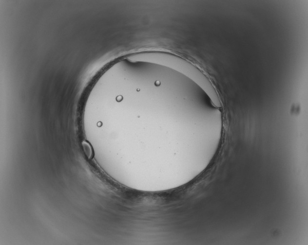 X0000111880248200908201304