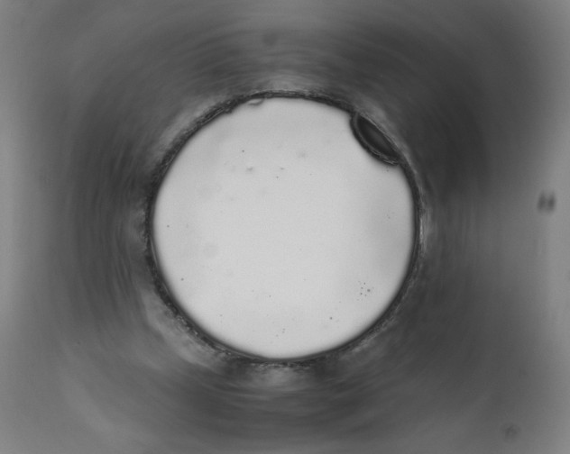 X0000111880249200908201304