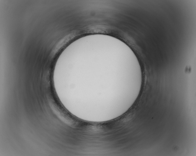 X0000111880250200908201304
