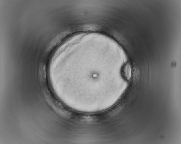 X0000111880254200908201304