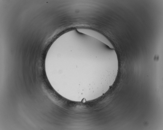 X0000111880256200908201304