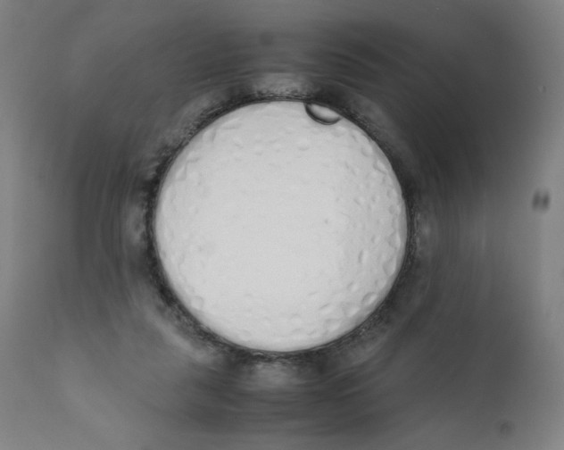 X0000111880259200908201304