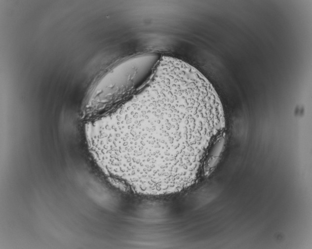 X0000111880260200908201304