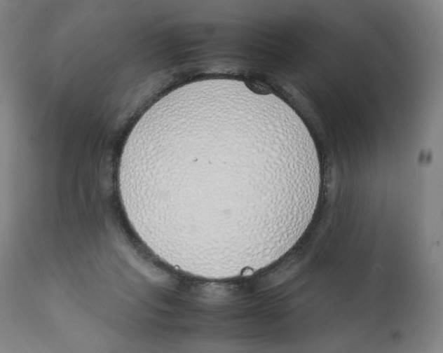 X0000111880261200908201304