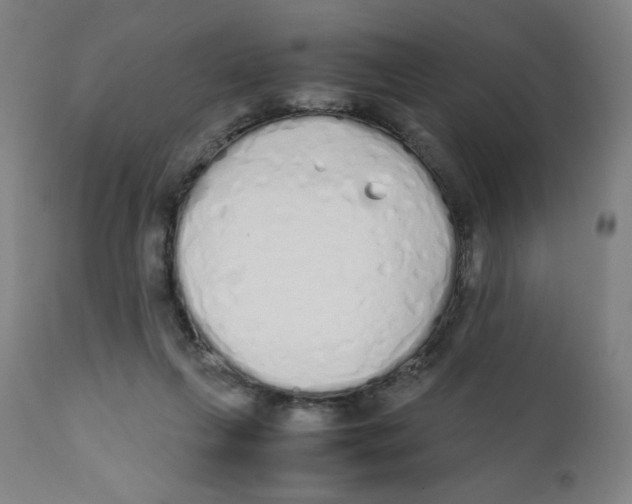 X0000111880263200908201304