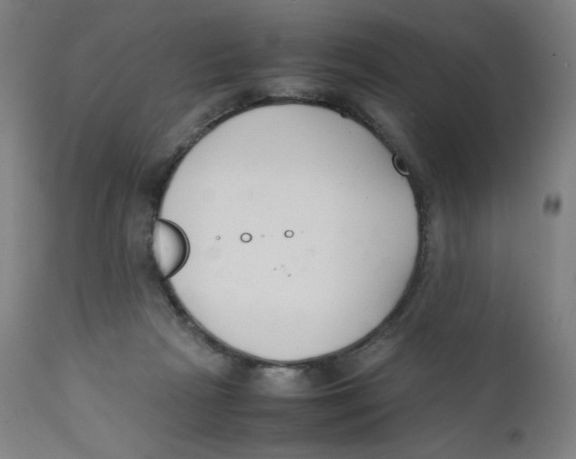 X0000111880265200908201304