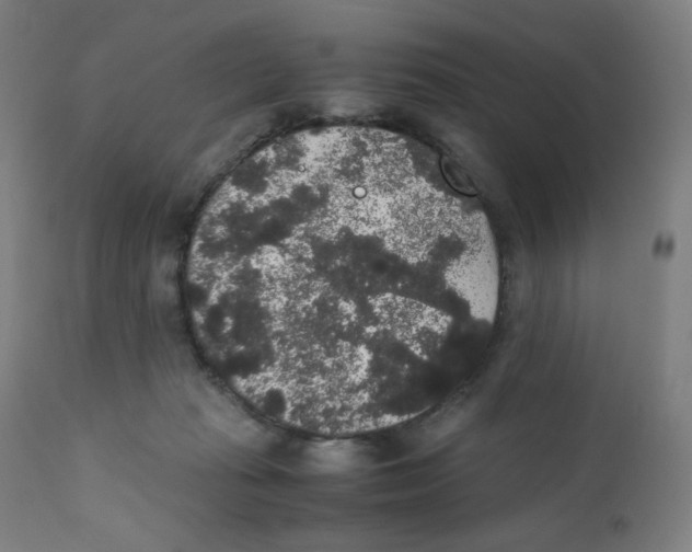 X0000111880269200908201304