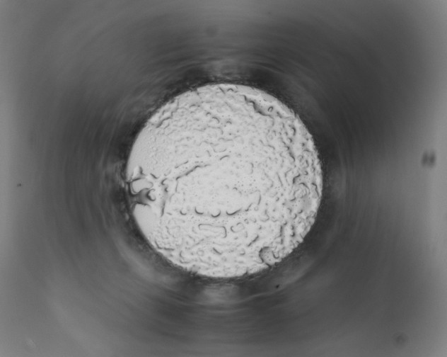 X0000111880271200908201304