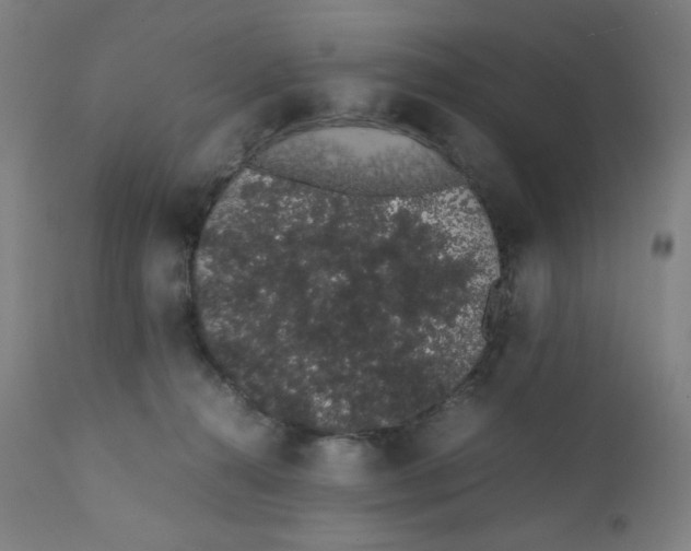 X0000111880272200908201304