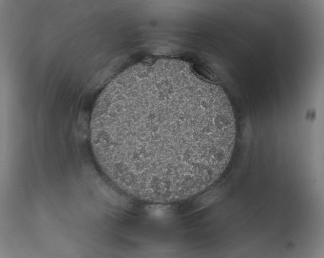 X0000111880273200908201304