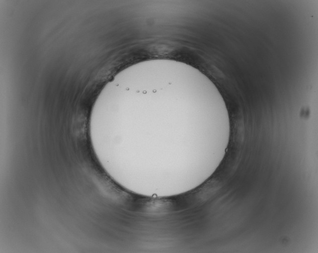 X0000111880274200908201304