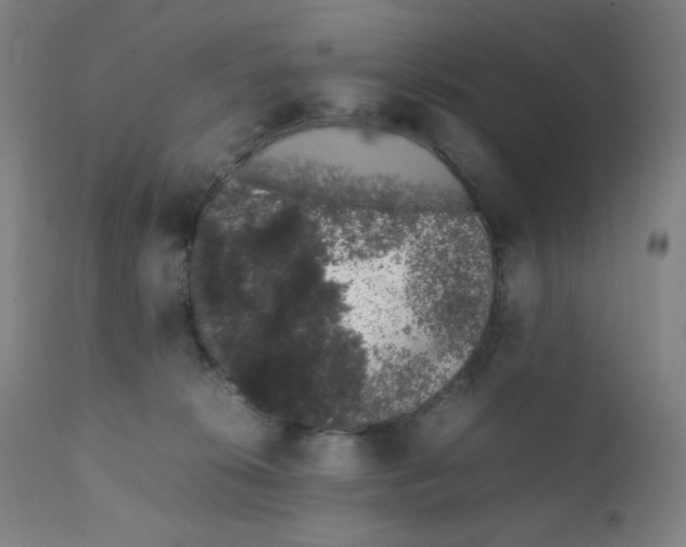 X0000111880276200908201304