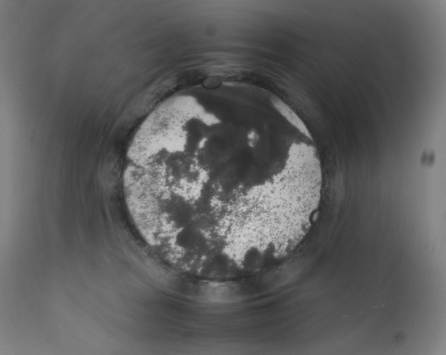 X0000111880277200908201304