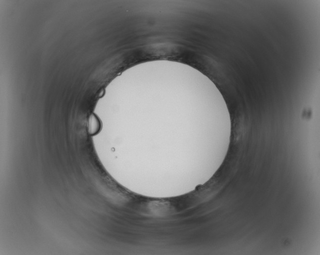 X0000111880279200908201304