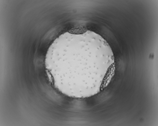 X0000111880280200908201304